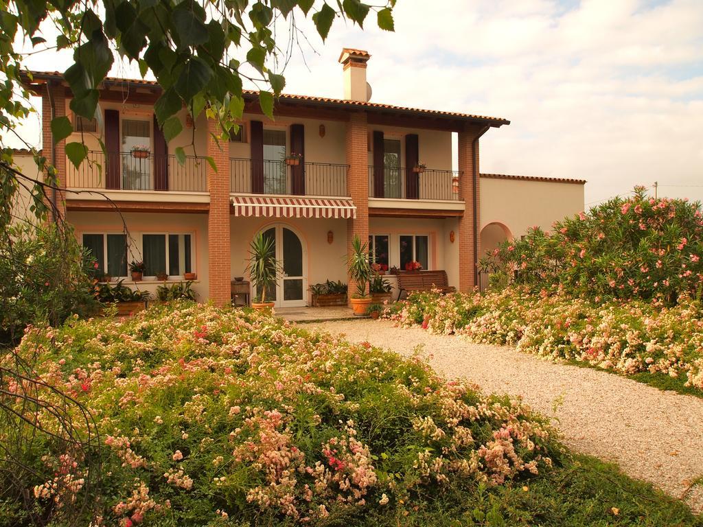 Agriturismo Il Magicorto Cassola Exteriör bild
