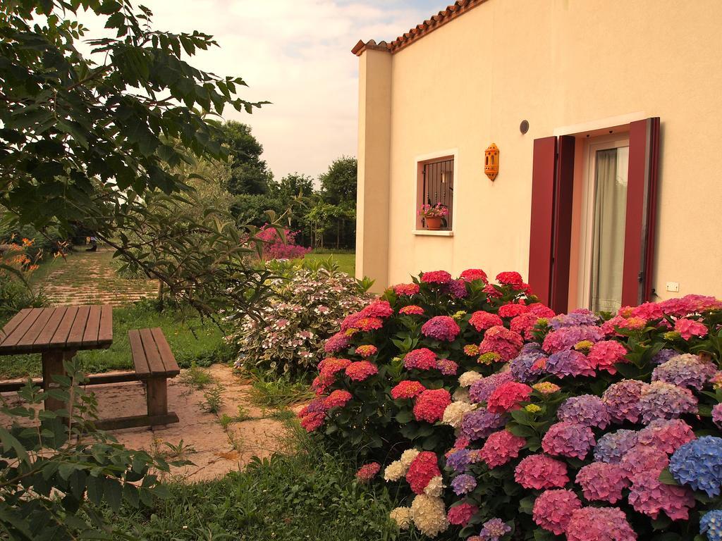 Agriturismo Il Magicorto Cassola Rum bild