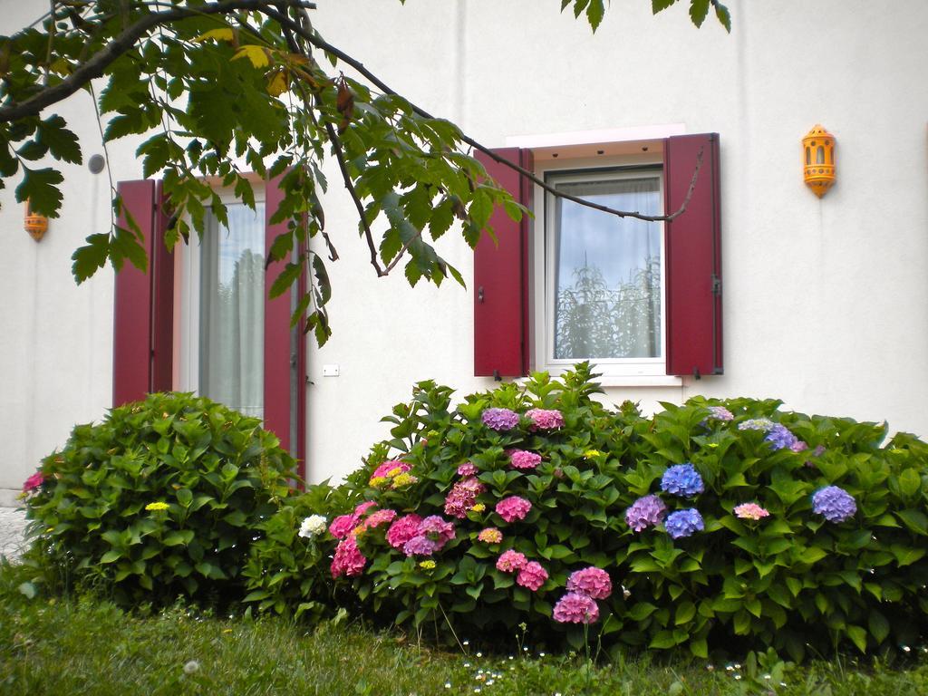 Agriturismo Il Magicorto Cassola Rum bild