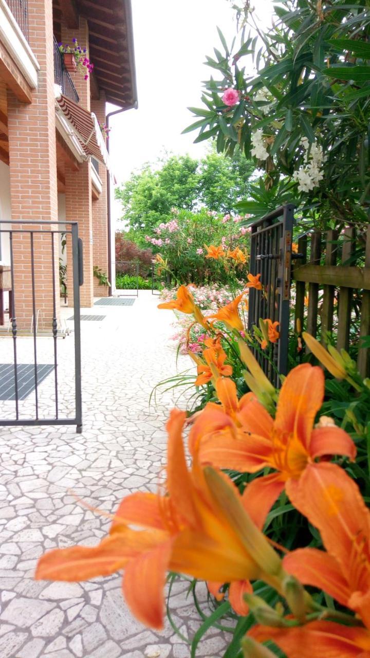 Agriturismo Il Magicorto Cassola Exteriör bild