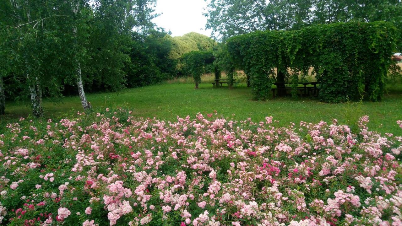 Agriturismo Il Magicorto Cassola Exteriör bild
