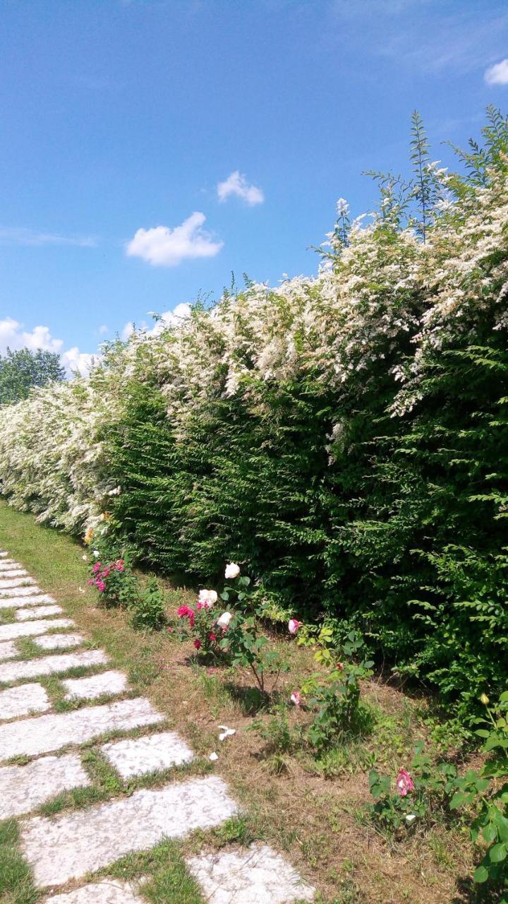 Agriturismo Il Magicorto Cassola Exteriör bild