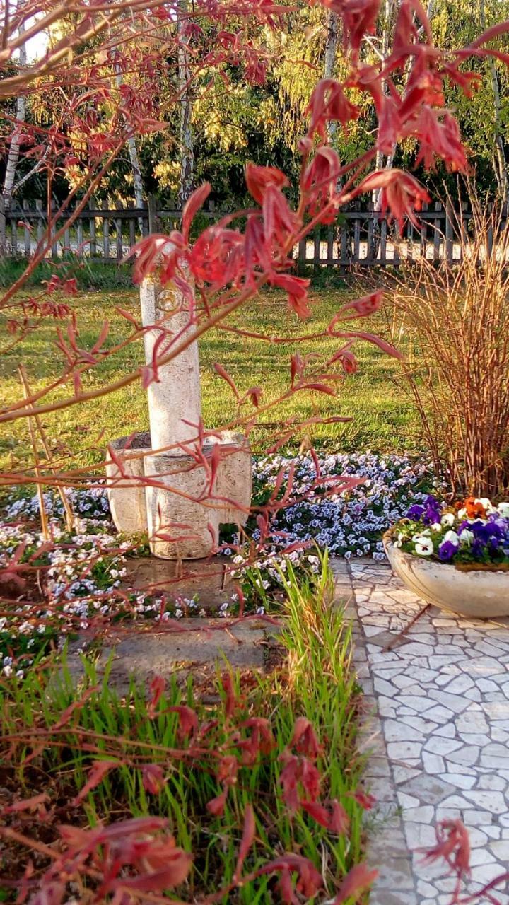 Agriturismo Il Magicorto Cassola Exteriör bild