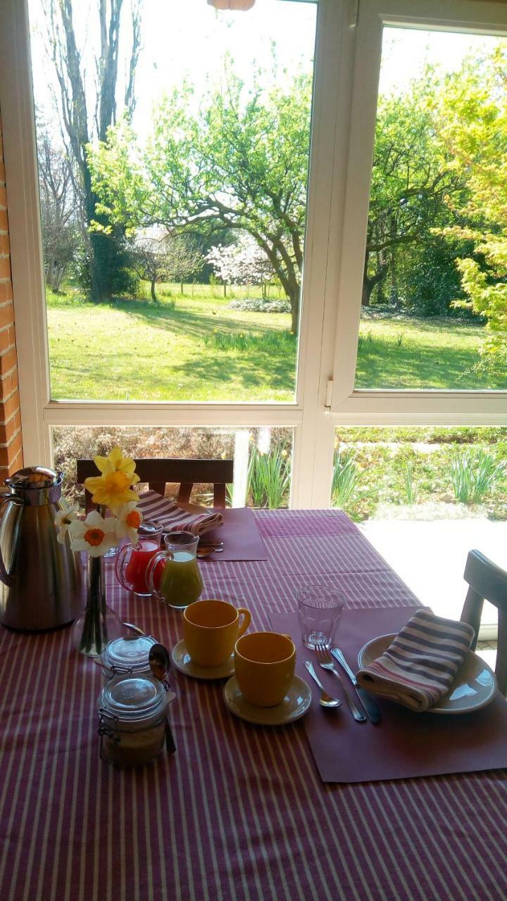 Agriturismo Il Magicorto Cassola Exteriör bild